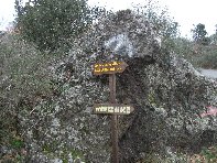 nte Ilice-20110120 001